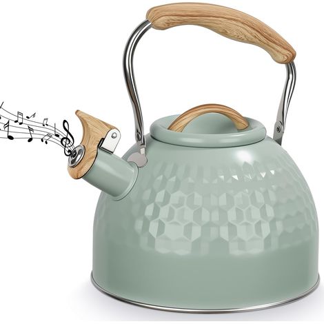 Bouilloire sifflante de 3 l, style rétro, en acier inoxydable, moderne, pour cuisinière à gaz, four en céramique, plaque à induction (1/5)