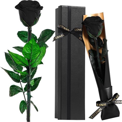 Rose Eternelle Préservée, Fleur Noir Cadeau Femme, Idee Rosee Cadeau Anniversaire Noel Femme pour Elle, Maman Amie Épouse Sœur Mamie, Présent Amour Fete des Meres, Saint-Valentin (1/5)