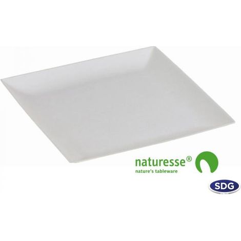 Assiette jetable Komodo 22 x 22 cm en cellulose - 500 pièces - Ecobioshopping