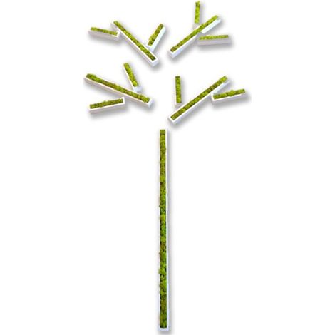 tableau végétal  Stickers végétaux en lichen blanc laqué (1/4)