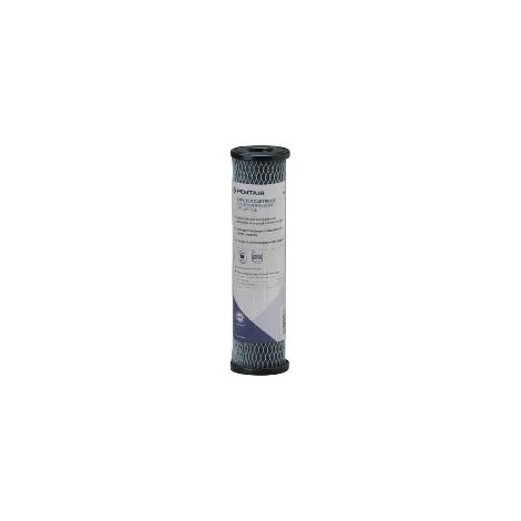 Pentair C1 Filtre à Eau Sédiment et Charbon (1/2)