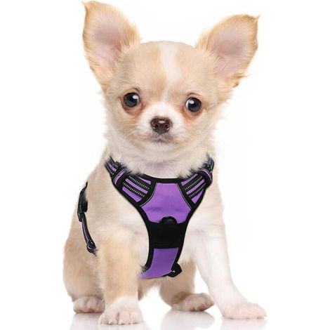 Harnais Chien S Arnais Violet Anti Traction Réfléchissant Gilet Réglable pour Chien, Attache Devant Crochet de Laisse pour Randonnée Trajet Voiture, Bouledogue Français, Berger Australien-Ensoleillé