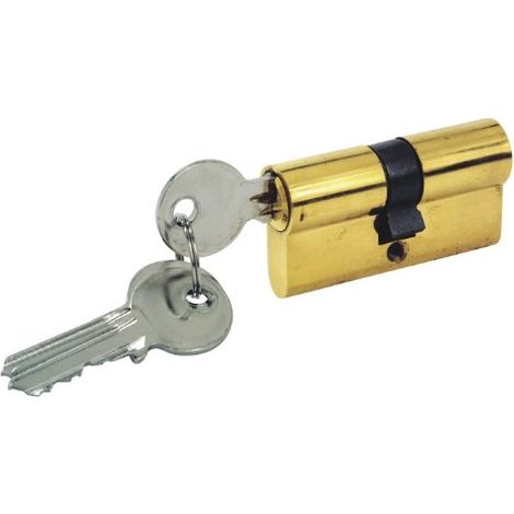 CYLINDRE PORTE + 3 CLES 60MM COGEX 80684