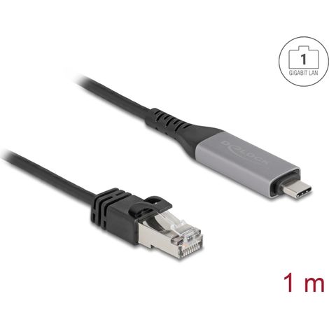 Delock Cable USB LAN USB Type-Câ¢ a RJ45 Gigabit Ethernet 1 m