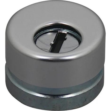 Protector cilindro cerradura dierre diecz9r plata robusto