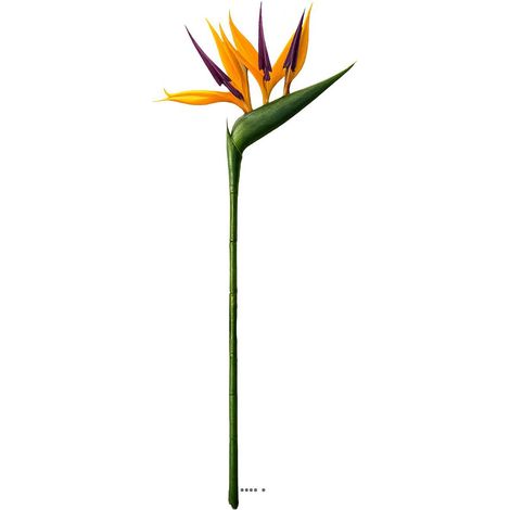 Strelitzia Arabica artificiel H 62 cm oiseau du paradis tête latex (1/3)