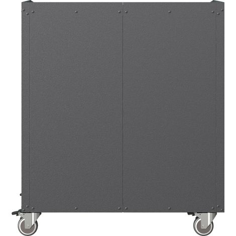 Armario portaherramientas metálico con ruedas 75 x 42 x 87,9 cm negro y gris MODENUIT (1/5)