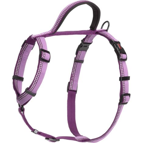 Pettorina da passeggio HALTI - pettorina anti-trazione con impugnatura, leggera, catarifrangente e regolabile, ideale per l’addestramento. Ideale per cuccioli e cani piccoli (Taglia S, Viola) (1/5)