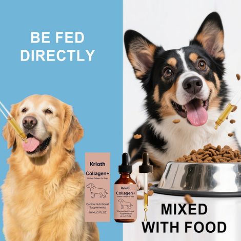 Gouttes de collagène doux pour chiens - Soin quotidien - 60 ml (1/5)