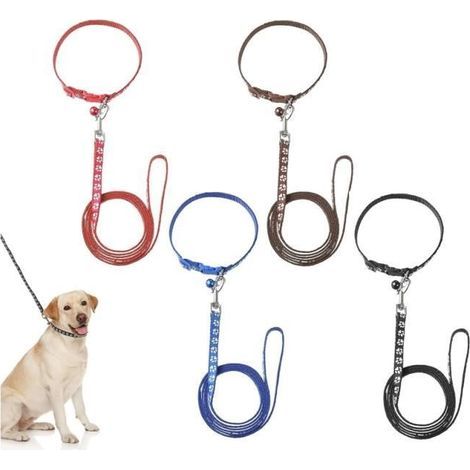(Verschiedene Farben erhältlich) Verstellbares Welpenhalsband und Leine – 120 cm – Sicherheitsverschluss – Komfortabel (1/4)