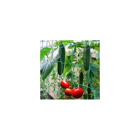 Rete rampicante a maglia larga per una raccolta particolarmente abbondante di cetrioli, pomodori e altre verdure e piante rampicanti – Dimensioni: 1,827 m - Crezuo