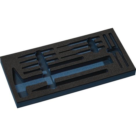 TECWERK Werkzeugmodul Leereinlage 1/3-Modul 2000 871 243 11-teilig