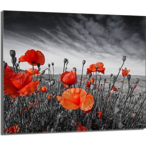Placa protectora de vidrio para la estufa 60x52 Maki (1/5)