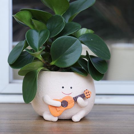 Vaso da fiori a forma di faccina sorridente con fori di drenaggio. Questo grazioso vaso in resina è ideale per piantare la collana di perle, piante grasse (1/5)