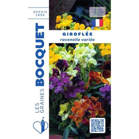 Giroflée ravenelle variée - 1,5g