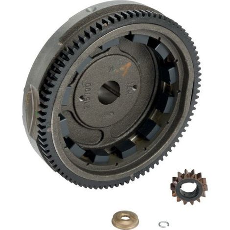 Briggs & Stratton – Volant moteur magnétique complet pour tracteur tondeuse – Pignon démarreur inclus – Compatible modèles 215807, 217807, 219807 (1/2)