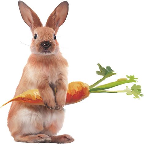 BEBUSINGOTO Un conjunto de lindos conejos con zanahorias, pegatinas de pared, decoración de pared para sala de estar, oficina, dormitorio. (1/5)