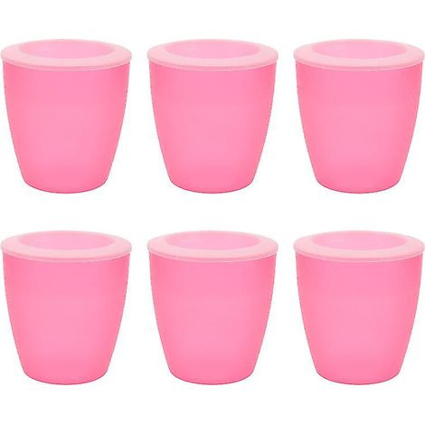 Lot de 6 jardinières à absorption d'eau automatique (1/3)
