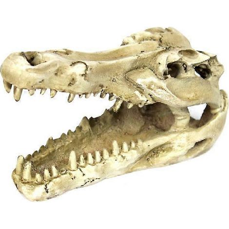 Terrarium pour reptiles, vivarium, ornement, décoration, lézard, araignée, grotte, crâne de crocodile (1/4)