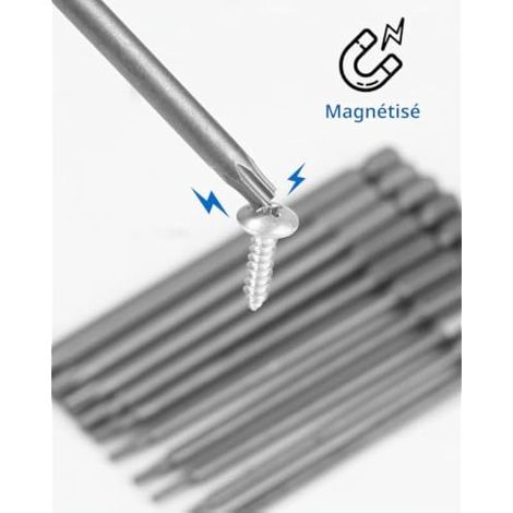 11 embouts de tournevis Torx magnétiques longs 1/4 pouce 100 mm T6-T40 (1/3)