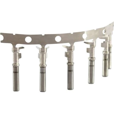 Amphenol AT62 20 0122 Contatto singolo Contatto femmina Serie (connettore circolare): AT 100 pz. (1/2)