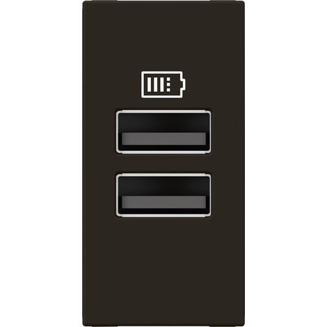 Chargeur 2 USB Type-A Mosaic 2 modules noir pour support LCM LEGRAND 077662L (1/3)