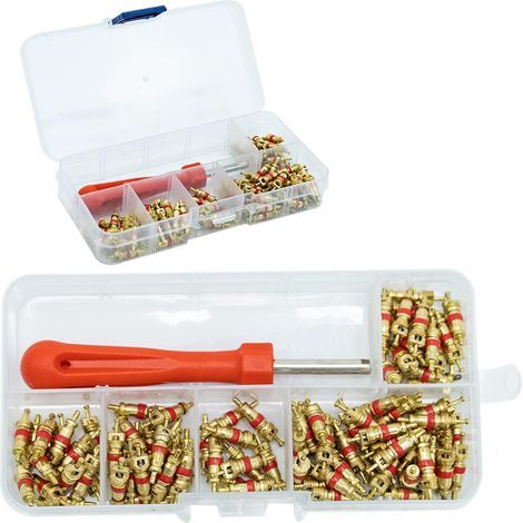 100-Piece Tire Valve Removal Tool Set, Valve Core Remover Repair Tool with 100 Valve Cores for Car Replacement, 4-in-1 Tire Valve Repair Tool, Tire Valve Remover (1/5)