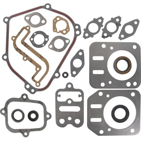 Guarnizioni motore BRIGGS ET STRATTON 791797