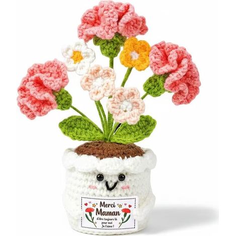 Cadeau pour Maman - Cadeau d'anniversaire Exquis de la Part de sa Fille et de Son Fils, Décoration de Bureau avec Fleur d'Œillet au Crochet pour la Fête des Mères (1/5)