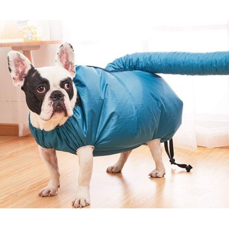 (L) Sac souffleur pour chien Douche pour animaux de compagnie, bain, séchage rapide des poils, outil de toilettage pour bouledogue, corgi, beagle, chiot (1/5)