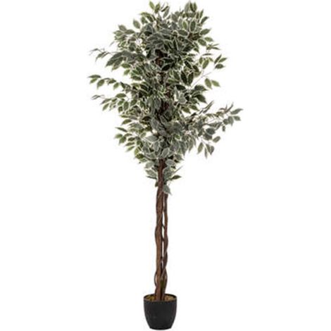 Plante Artificielle "Ficus" 180cm Vert (1/3)