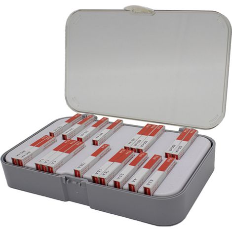 ESKA 520800  Sicherungs-Sortiment     Inhalt 200 St.