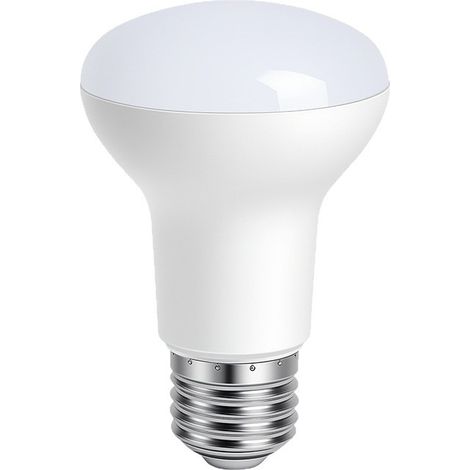 Ampoule LED E14 5W Équivalent 40W - 470LM Blanc froid 6500K Lot de 2 (1/5)
