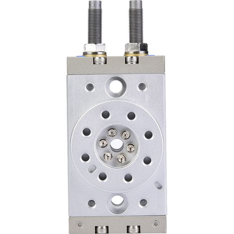 Vérin pneumatique rotatif à 180 degrés MSQB-20R avec tampon (1/4)