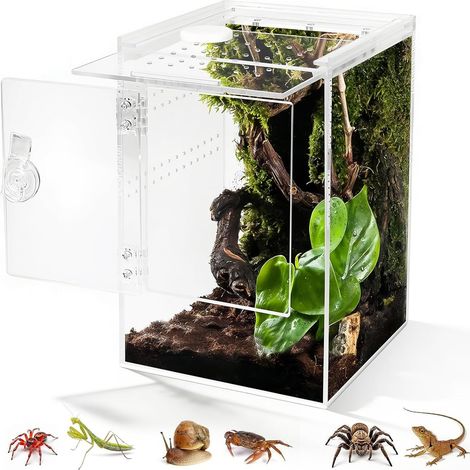 Ouverture Frontale Terrarium,360° Rectangle Vivarium 23x15x15CM avec Ventilation Croisée,Etanche Terrarium Acrylique pour Reptiles, Araignée, Escargots, Mante Religieuse, Lézard, Rainette (1/5)