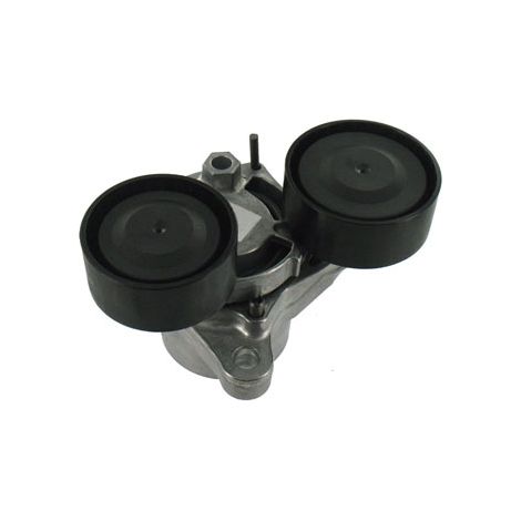 TENSOR DE CORREA ACANALADA SKF BMW E90/F20