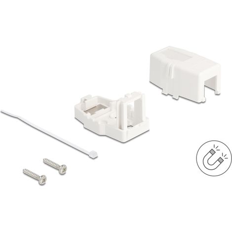 Delock Caja de montaje Keystone en superficie de 1 puerto magnÃ©tico blanco