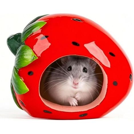 Maison en céramique en forme de fraise pour hamster, 12 x 12 x 9 cm, nid pour rongeur. (1/5)