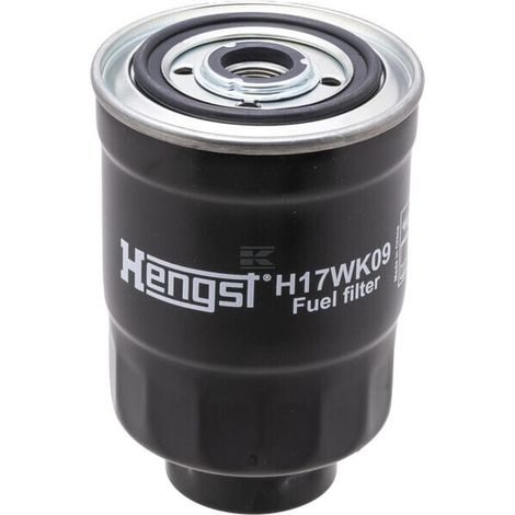Filtre HENGST H17WK09 (1/5)