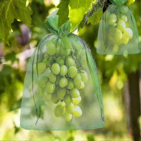 100 sacs de protection pour fruits, 30 x 20 cm et 23 x 17 cm, sacs en filet à cordon pour le jardin (1/5)