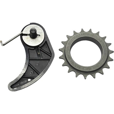 06A105209 06A115130 Applicable à l'ensemble tendeur de chaîne de distribution du vilebrequin pour Audi Beetle (1/5)