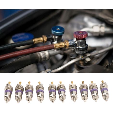Packung mit 20 Hochdruck-Ventileinsätzen und -schäften für Kfz-Klimaanlagen, kompatibel mit BMW- und Mercedes-Benz-Modellen (Referenz: LR-FT152) (1/5)