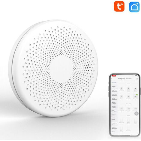 Tuya WiFi 2 en 1 Intelligent fume détecteur de monoxyde de carbone détecteurs de gaz CO son Flash lumière fonction d'alarme (1/5)