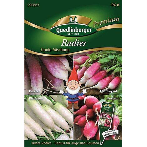 Quedlinburger Radies Zipolo Mischung - Gemüsesamen