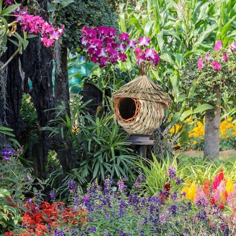 Maison colibri extérieure - Poche nid oiseau cage cabane naturelle pour jardin campagne Aucuneary (1/5)