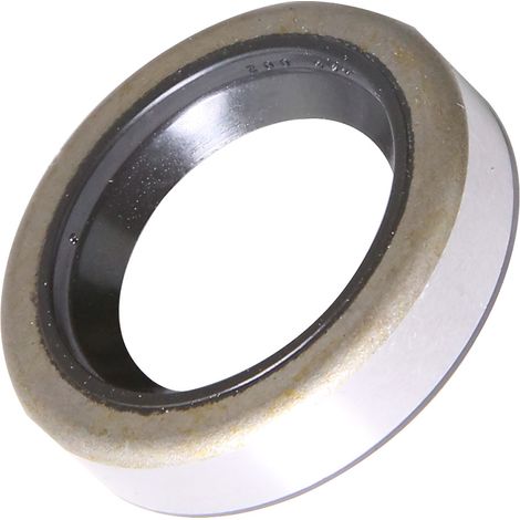 Joint spi pour Briggs & Stratton 391483 et 291841 (1/4)