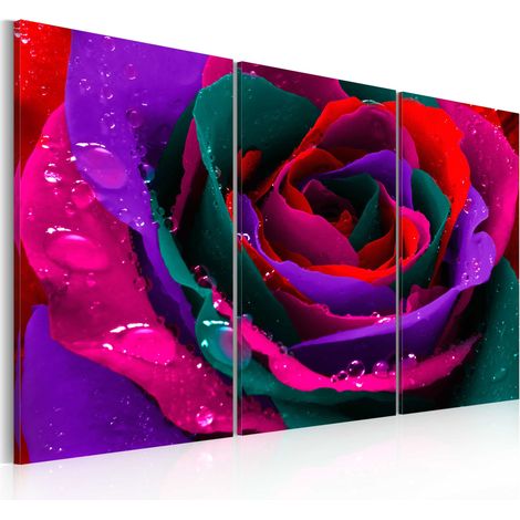 Quadro - Rosa iridata - 60x40 (1/4)