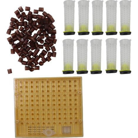 Ensemble d'élevage d'apiculteurs avec boîte de culture, tasses à cellules, blocs de cellules et couvercles, pour élevage d'abeilles et élevage de reines (1/5)