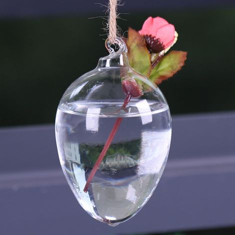 Suspension hanging plante vase murale hydroponie aquarium décor maison verre borosilicate 7cm 11cm (1/3)