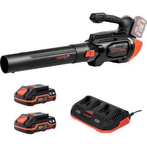 Souffleur de feuilles double Dnipro-M DCB-202BC - 2 batteries 2 Ah et chargeur, sans balais, 1020 m³/h, 240 km/h, 4 vitesses + turbo (1/5)